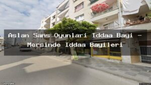 aslan-sans-oyunlari-iddaa-bayi-mersinde-iddaa-bayileri