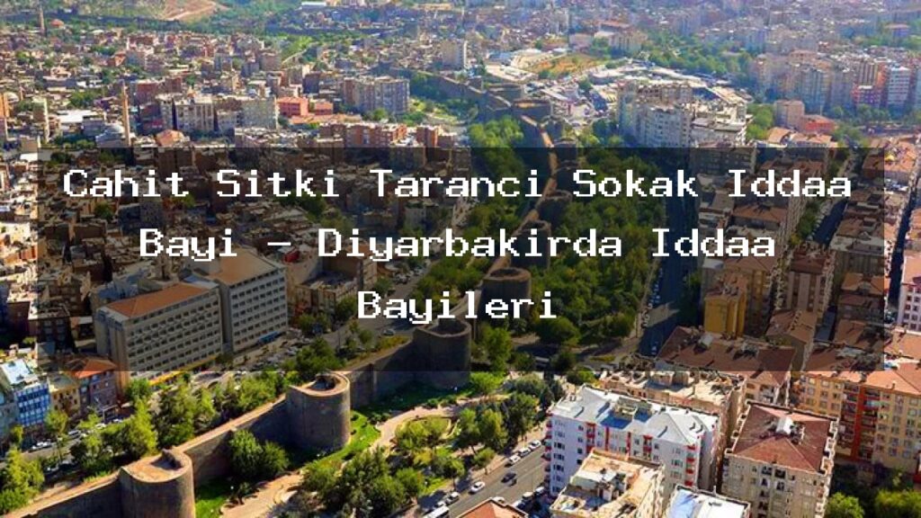 cahit-sitki-taranci-sokak-iddaa-bayi-diyarbakirda-iddaa-bayileri