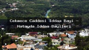 cekmece-caddesi-iddaa-bayi-hatayda-iddaa-bayileri